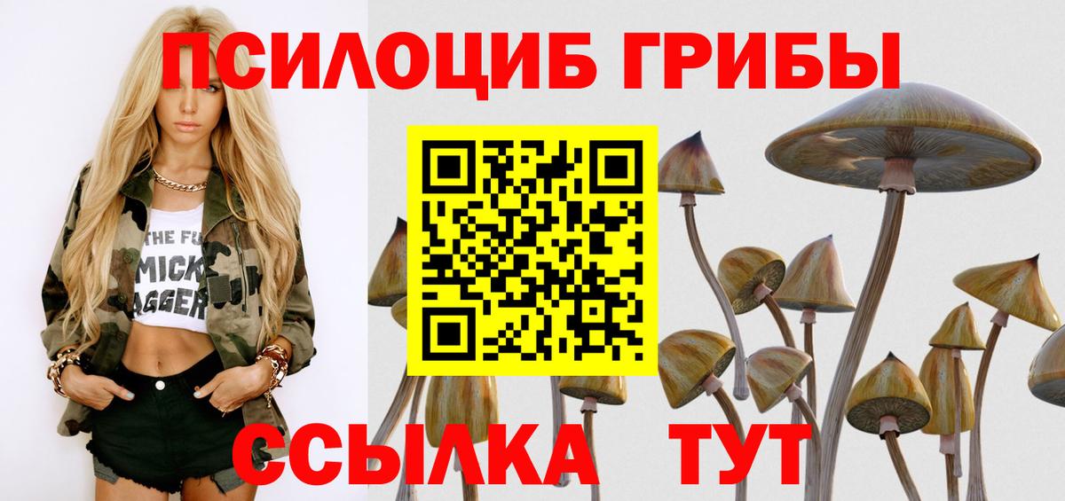 Псилоцибиновые грибы Psilocybine cubensis Заволжье