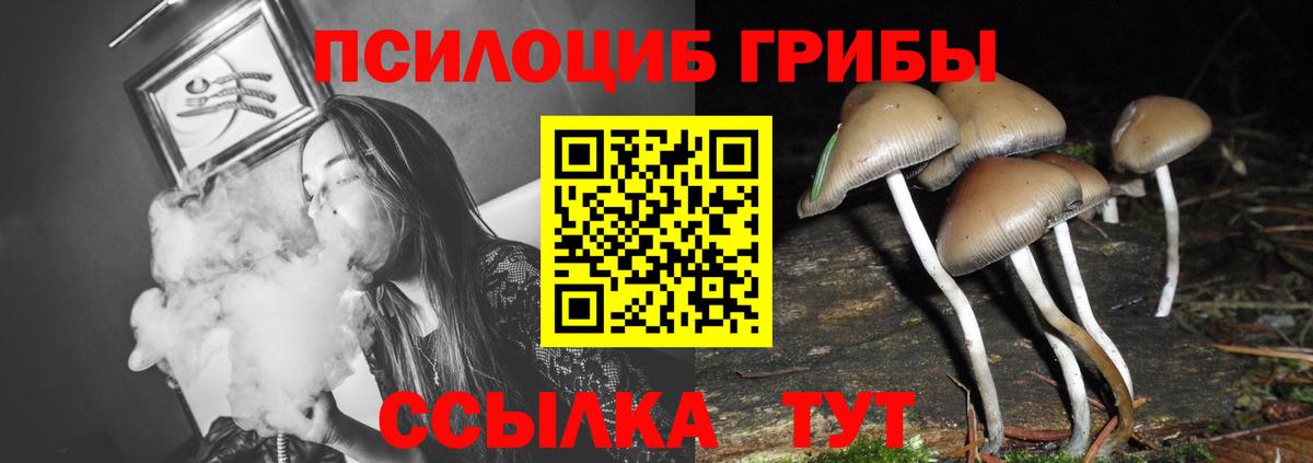 Галлюциногенные грибы MAGIC MUSHROOMS  Вход с VPN  как найти наркотики  Заволжье  Галлюциногенные грибы MAGIC MUSHROOMS 